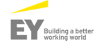 EY partner logo